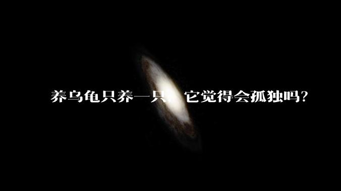 养乌龟只养一只,它觉得会孤独吗?