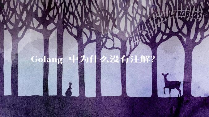 Golang 中为什么没有注解?