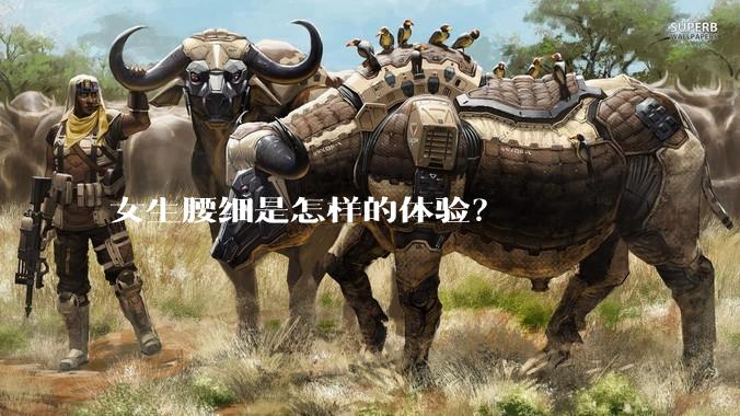 女生腰细是怎样的体验?