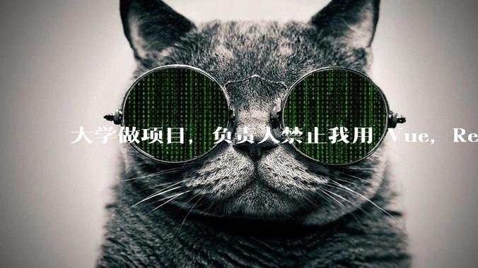 大学做项目,负责人禁止我用 Vue,React,让我用基础 HTML,CSS,JS 开发前端怎么办?