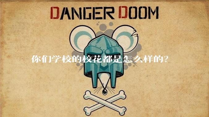 你们学校的校花都是怎么样的?