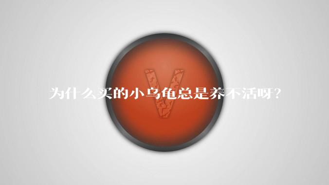 为什么买的小乌龟总是养不活呀?