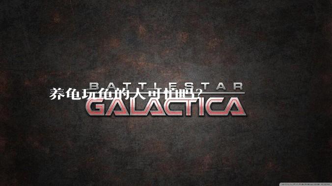 养龟玩龟的人可怕吗?