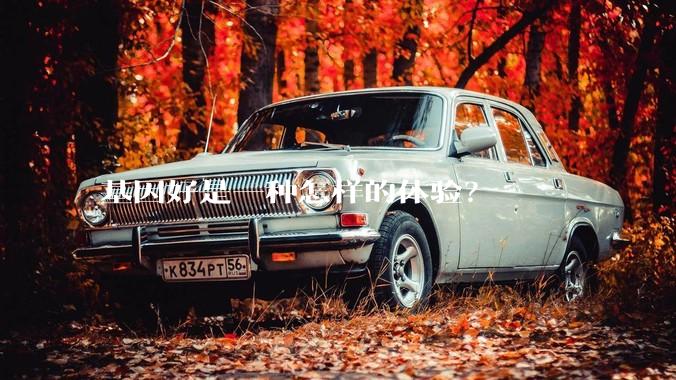 基因好是一种怎样的体验?